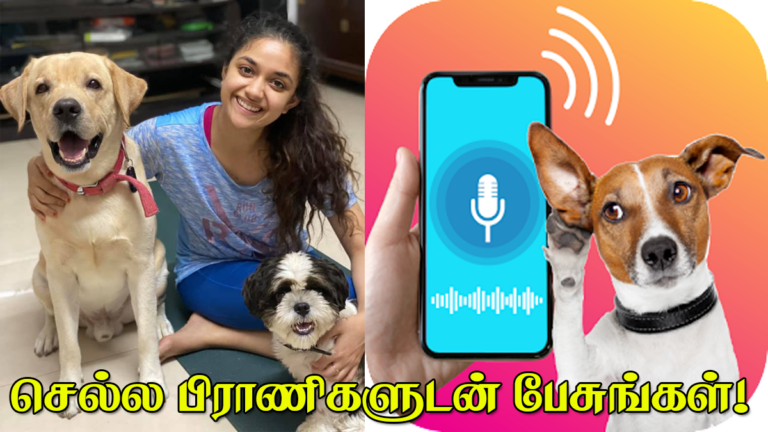 Animal Language Translator App Human to Dog Translator